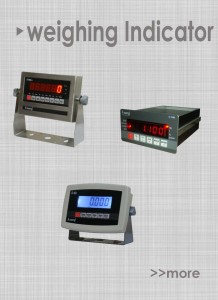 2 Weighing Indicator